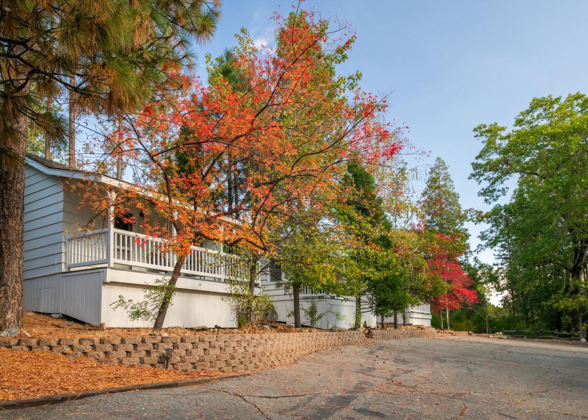Inn At Sugar Pine Ranch โกรฟแลนด์ ภายนอก รูปภาพ